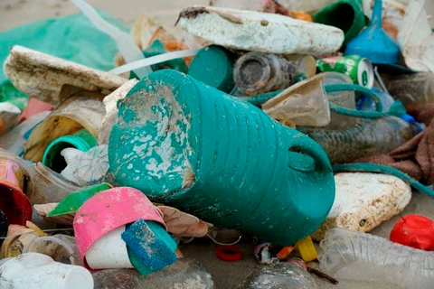 IAT recolhe quase uma tonelada de lixo da Ilha do Mel