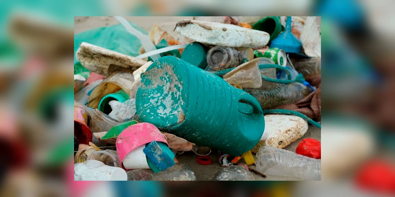 IAT recolhe quase uma tonelada de lixo da Ilha do Mel