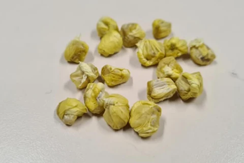 PM flagra individuo com cigarro de maconha e pedras de crack no centro de PG