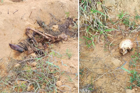 Ossada humana encontrada na região é de idoso; morte será apurada