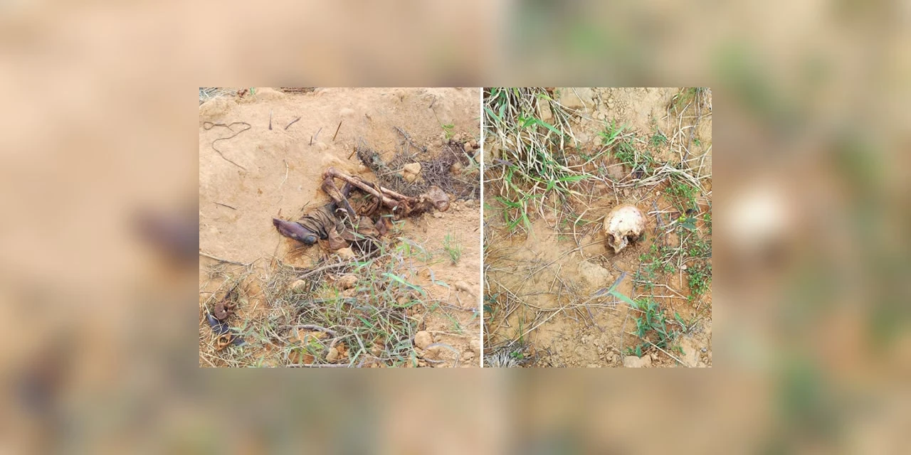 Ossada humana encontrada na região é de idoso; morte será apurada