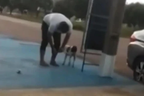 Vídeo mostra vereador amarrando bombinha em cachorro no MT