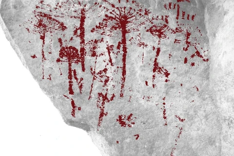 Grupo que reúne professores da UEPG descobre registro rupestre inédito de araucárias no Paraná