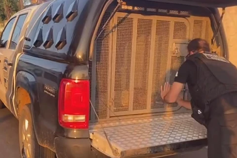 Operação da Polícia Civil mira tráfico de drogas e homicídios em Irati