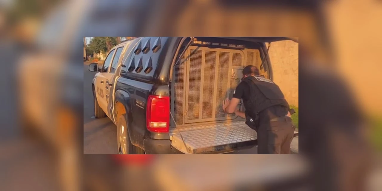 Operação da Polícia Civil mira tráfico de drogas e homicídios em Irati