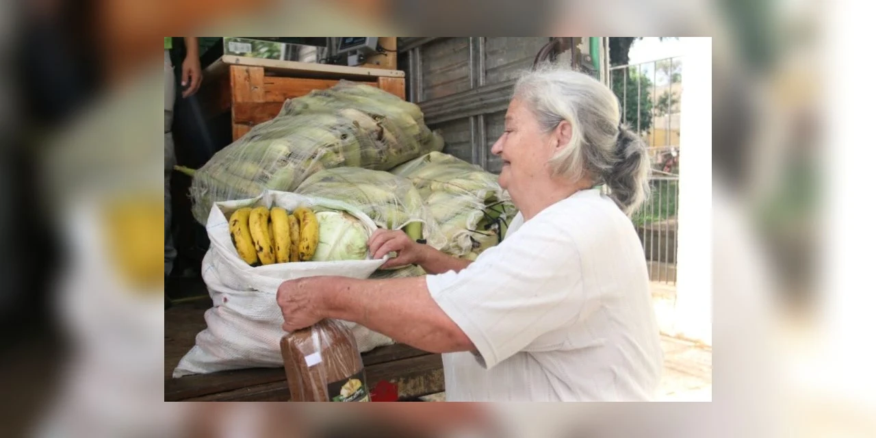 Calendário 2023 do programa Feira Verde inicia em março