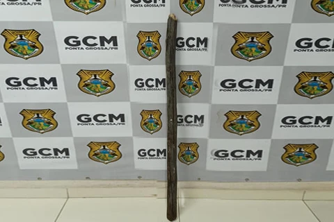 Homem é preso após agredir ex-mulher e filha com golpes de madeira, em PG