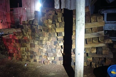 Carga ilegal de madeira é apreendida pela PM, em Irati