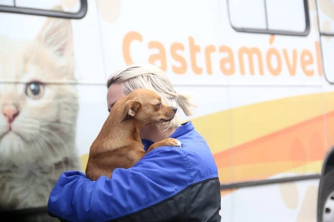 Prefeitura de Ponta Grossa fará mutirão para castração de cães e gatos