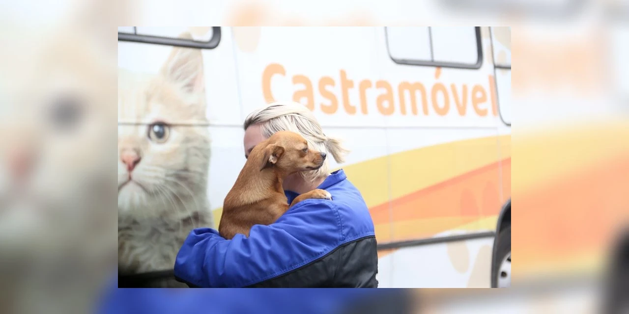 Prefeitura de Ponta Grossa fará mutirão para castração de cães e gatos