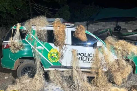 Força Verde apreende material usado para pesca predatória na região