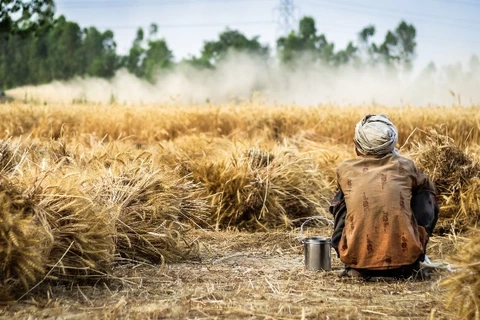 Moradores do campo também são afetados pela fome no Brasil
