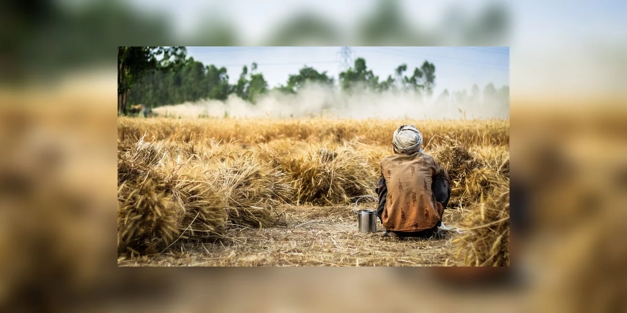 Moradores do campo também são afetados pela fome no Brasil