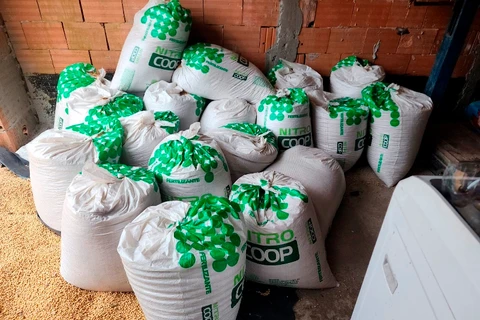 Polícia Militar apreende três toneladas de soja furtadas em Paranaguá