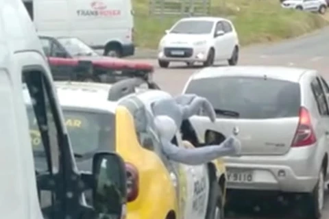 Vídeo de “Coelho da Páscoa” detido em viatura da PM viraliza nas redes sociais; assista