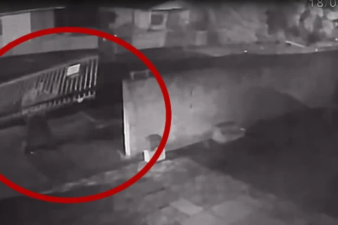 Vídeo mostra ladrão arrancando portão de residência e carregando nas costas, em PG