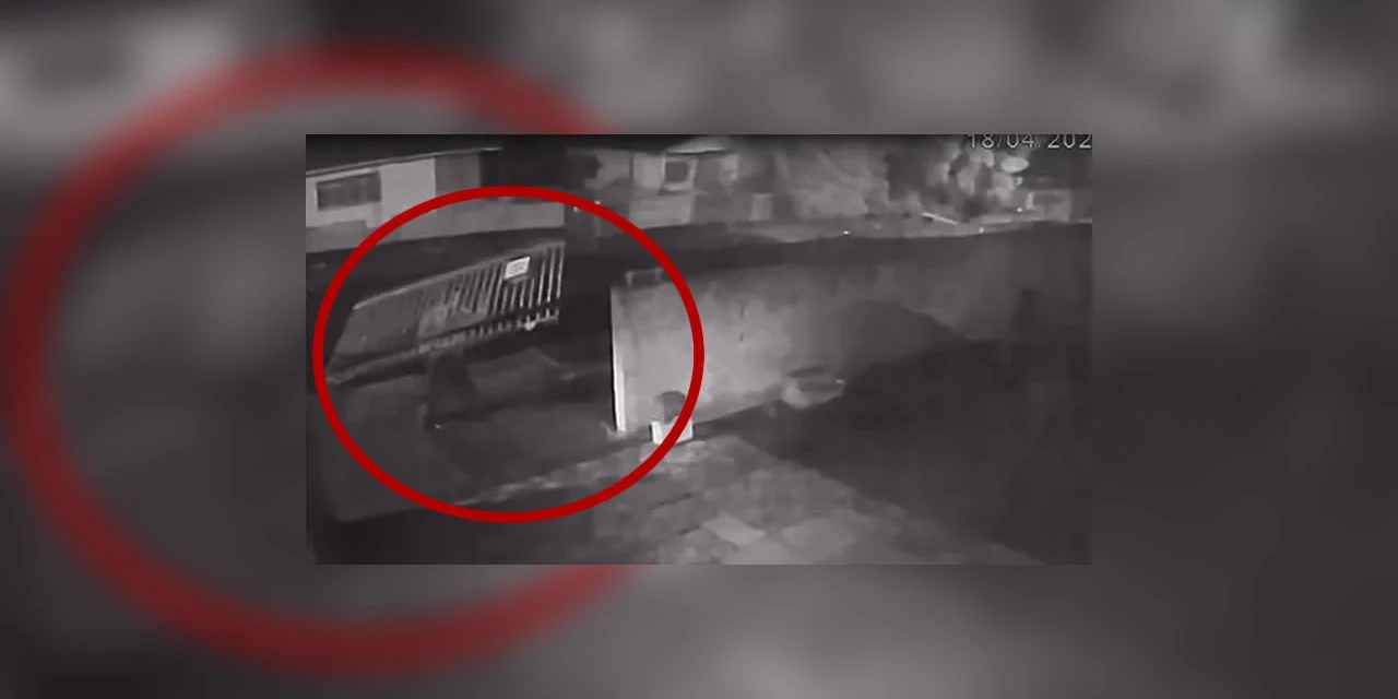 Vídeo mostra ladrão arrancando portão de residência e carregando nas costas, em PG