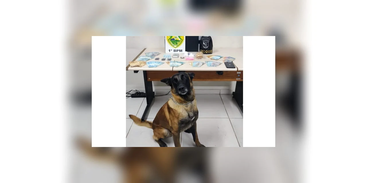 Dupla é presa suspeita de tráfico de drogas no Contorno, em PG