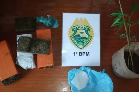 PM apreende quase 3Kg de drogas em Castro