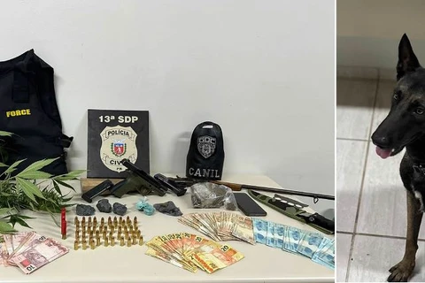 Cão de faro da GCM ajuda na apreensão de drogas, armas e duas pessoas, em PG