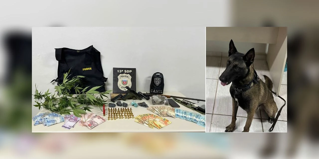 Cão de faro da GCM ajuda na apreensão de drogas, armas e duas pessoas, em PG