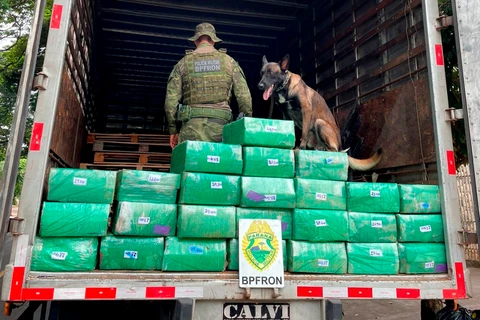 Polícia Militar prende homem com 700 quilos de maconha no Paraná