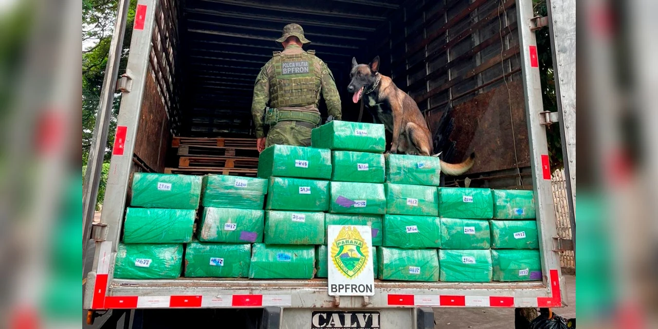 Polícia Militar prende homem com 700 quilos de maconha no Paraná