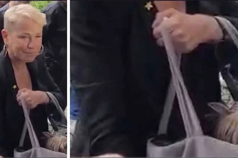 Xuxa leva sua cachorrinha em velório de Rita Lee e web não perdoa; veja!