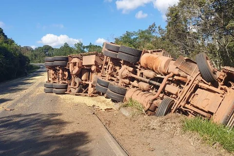 Resgate de corpo de caminhoneiro morto em acidente demora quase duas horas na PR-151, em Palmeira; assista!