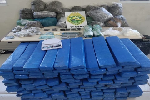 Operação da PM termina com apreensão de mais de 200Kg de drogas em bairro de PG