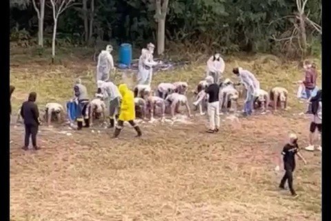 VIDEO: UFPR apura trote violento e com uso de animais em Curitiba