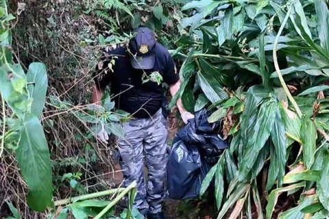 Ossada humana e roupas são encontradas na Nova Rússia, em PG