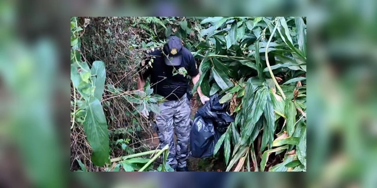 Ossada humana e roupas são encontradas na Nova Rússia, em PG