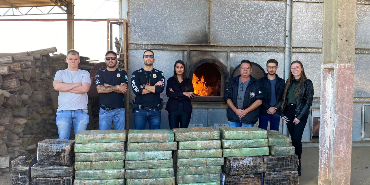 Polícia Civil de Palmeira realiza incineração de drogas