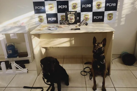 Polícia Civil prende homem suspeito de tráfico de drogas na Vila Francelina, em PG