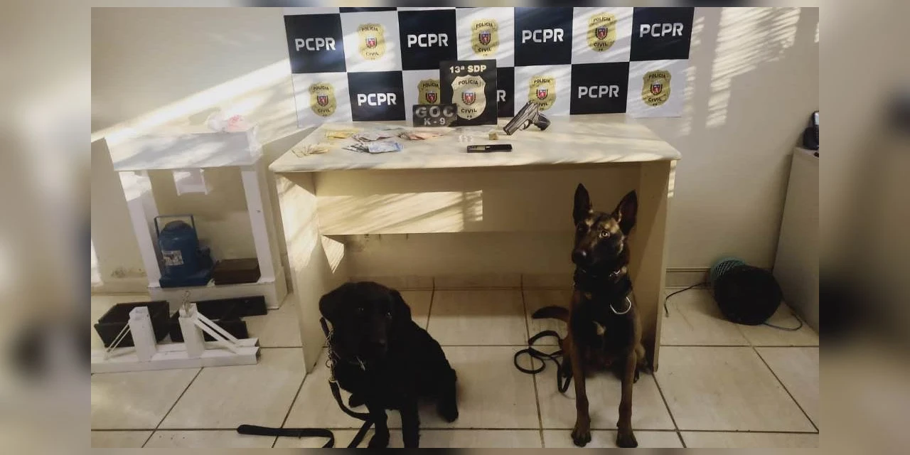 Polícia Civil prende homem suspeito de tráfico de drogas na Vila Francelina, em PG