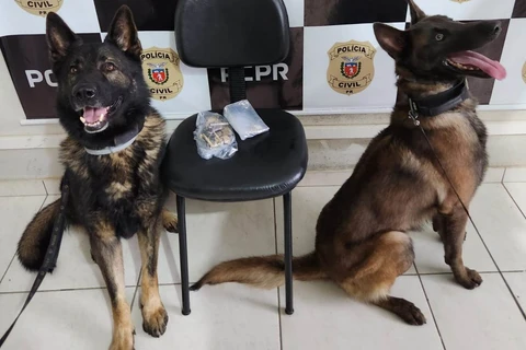 PCPR prende três pessoas em operação contra tráfico de drogas em Jaguariaíva