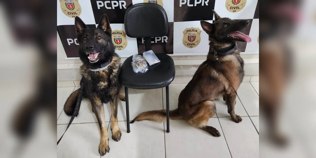 PCPR prende três pessoas em operação contra tráfico de drogas em Jaguariaíva