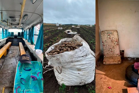 PF realiza operação para combater trabalho em condições análogas a de escravo no PR e SC