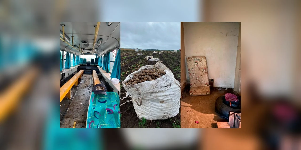 PF realiza operação para combater trabalho em condições análogas a de escravo no PR e SC