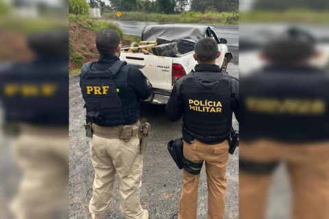 PRF e PM apreendem mais de 500Kg de maconha, em Irati