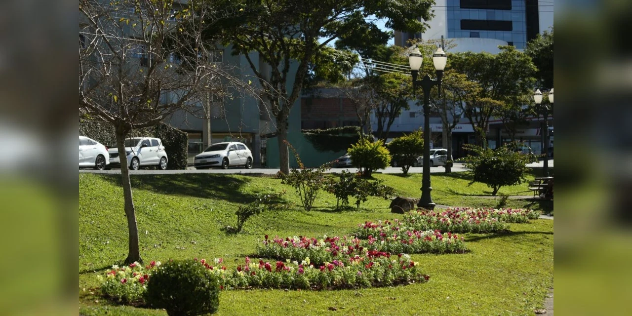 Canteiros e entradas da cidade recebem mais de 120 mil mudas de flores