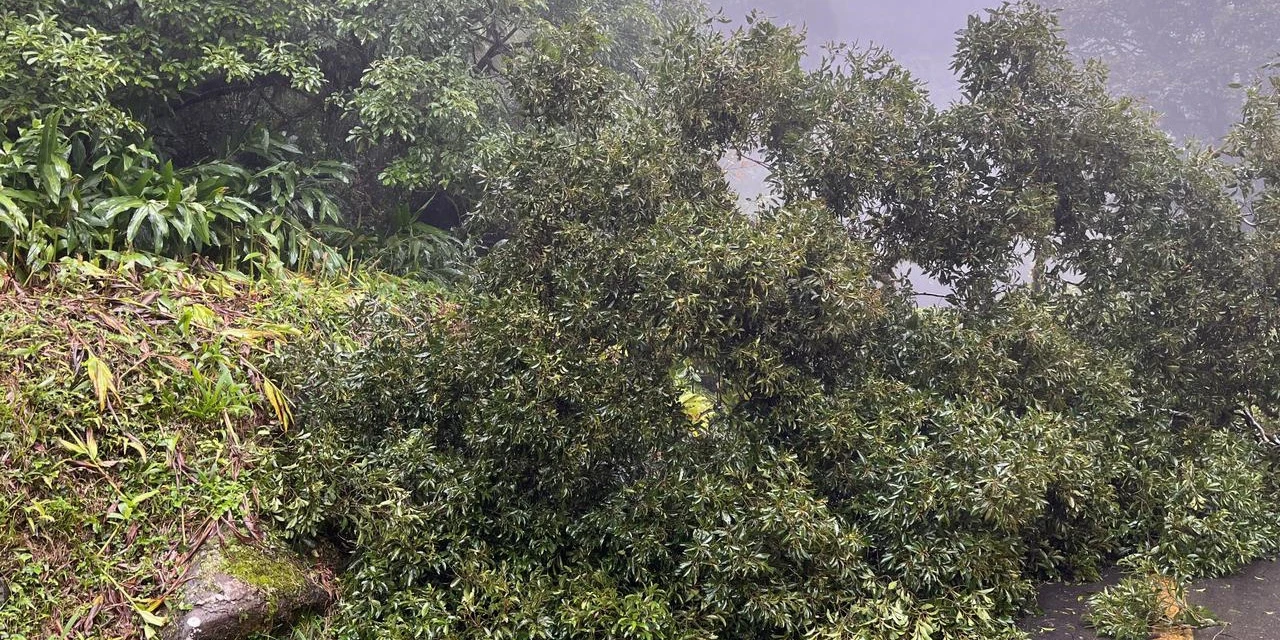 Estrada da Graciosa segue fechada devido a riscos de novos deslizamentos