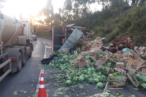 Pessoas ignoram feridos em acidente para saquear carga de hortifrúti em Imbaú