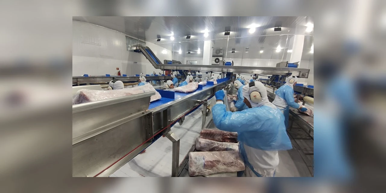 Com quase 71 mil novas vagas, Paraná lidera geração de empregos no Sul no 1º semestre