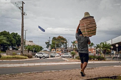 Paraná é o segundo estado com maior população indígena da região Sul do País
