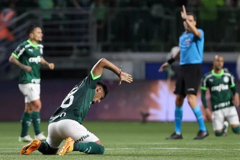 Palmeiras alcança quartas de final da libertadores pela 12ª vez