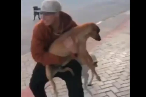 Polícia civil de Imbituva indicia jovem que pegou cão nos braços e o jogou ele no chão