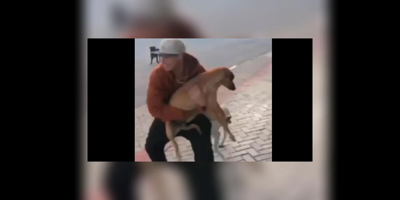 Polícia civil de Imbituva indicia jovem que pegou cão nos braços e o jogou ele no chão