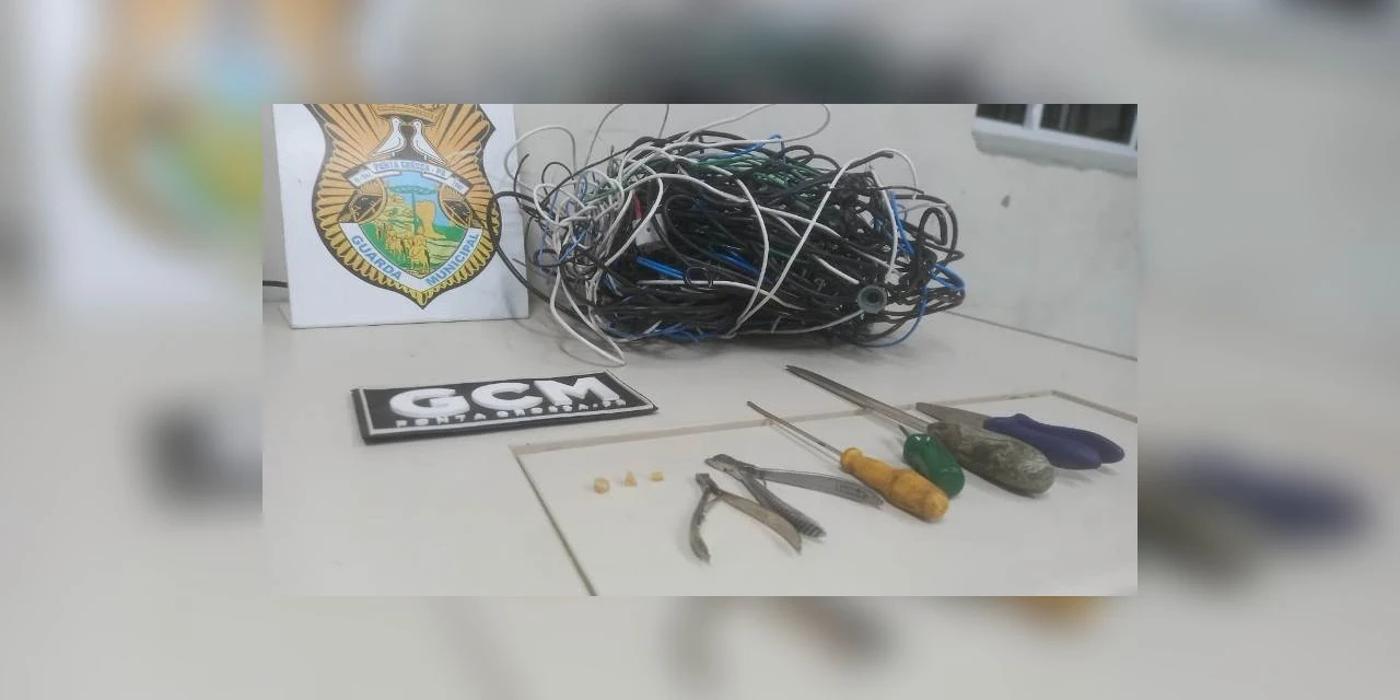 Suspeito de furto é detido com drogas em bairro de PG